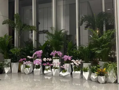 微信截图_20200701091949.webp