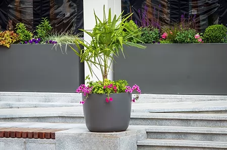 景观花箱 景观花箱