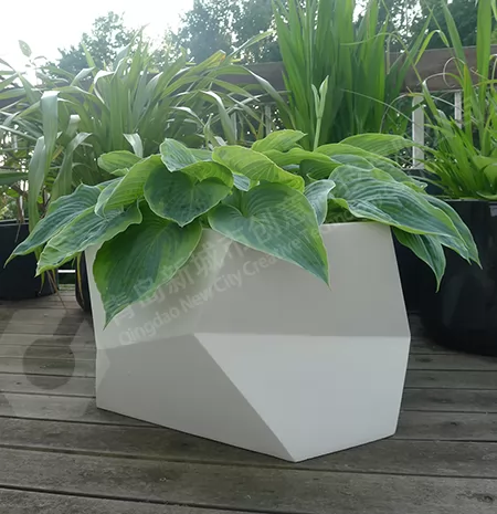 青岛花箱 青岛花箱