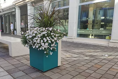 广场花箱 广场花箱